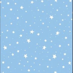 Meet your Posher, Lyric